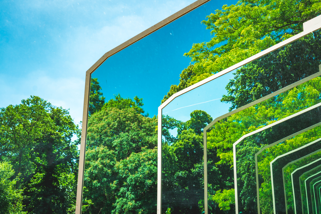The Nature of Building: Biodiversity & the Built Environment | CIOB